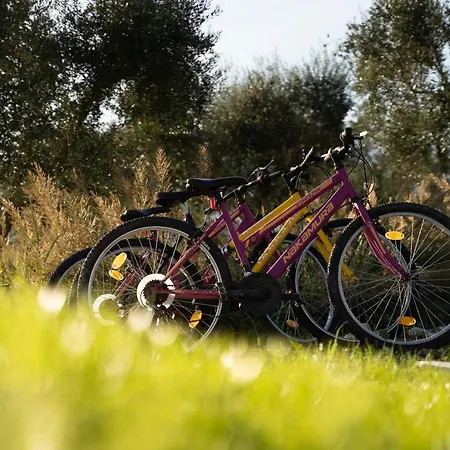 Aneli Luxury - Alexandra With Heated Pool