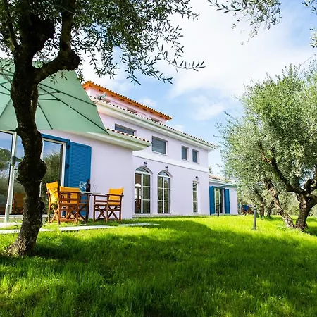 Vila Aneli Luxury - Alexandra With Heated Pool Áyios Kírikos