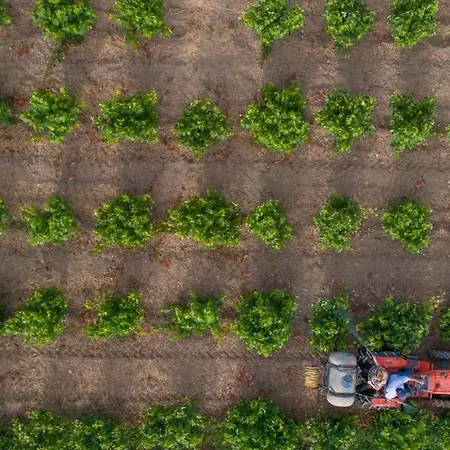 Aneli Luxury - Alexandra With Heated Pool Villa