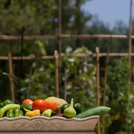 Villa Aneli Luxury - Alexandra With Heated Pool