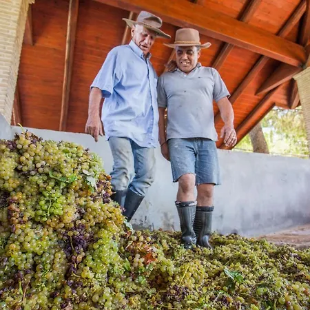 Aneli Luxury - Alexandra With Heated Pool *